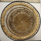 Door diabolo rattan plant