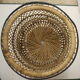 Door diabolo rattan plant