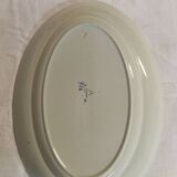 Dish