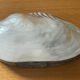 Empty pocket vintage shell mother-of-pearl 70s