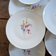 Dessert service Zeh Scherzer 1950s