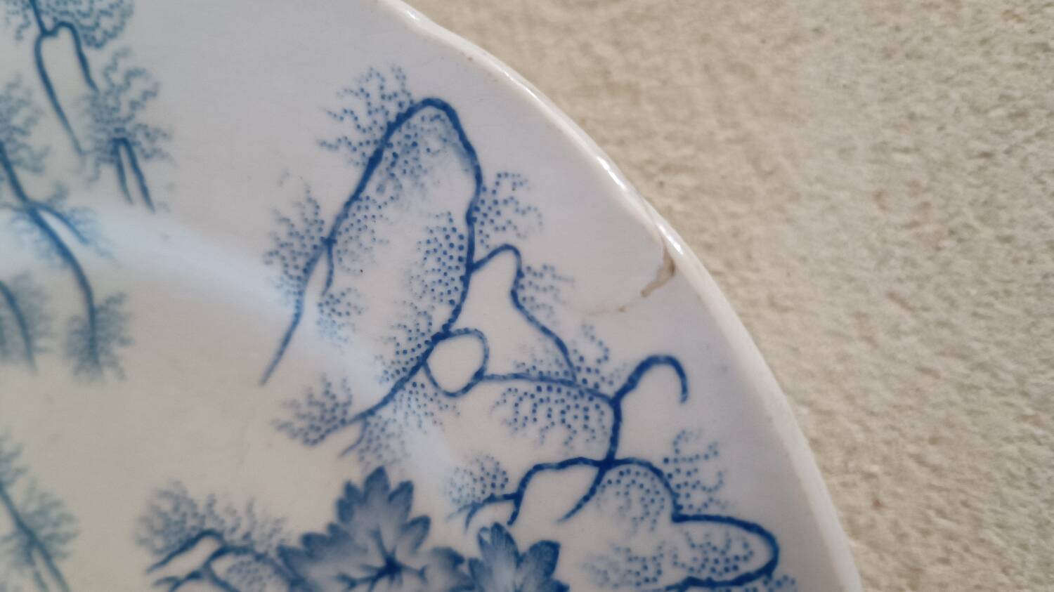 4 assiettes Creil-Montereau modèle Flora Lichen