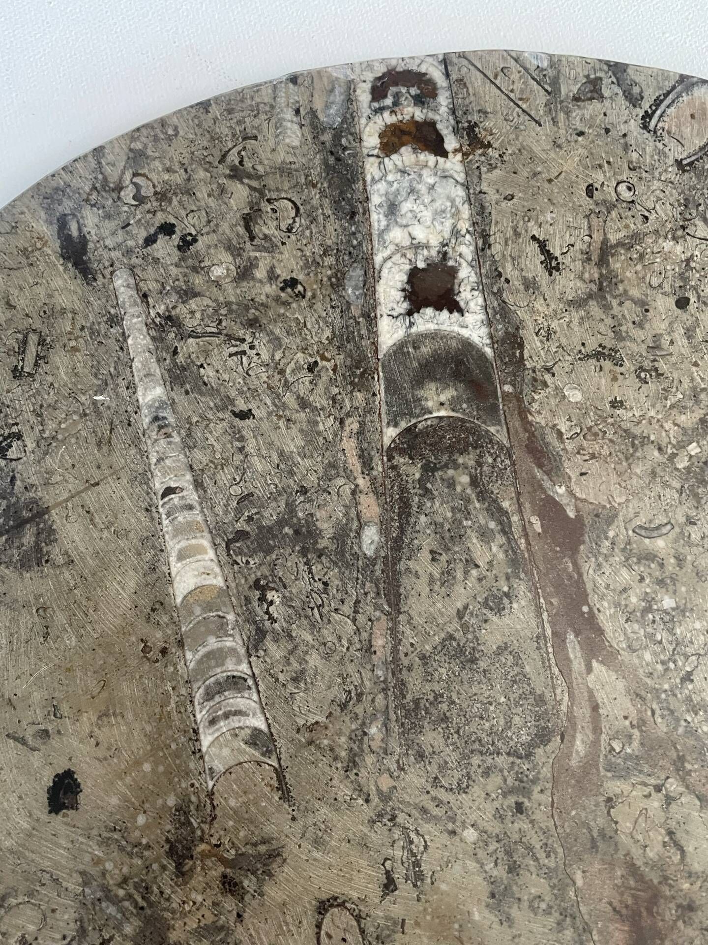 Round plate, fossil marble catch-all 35cm
