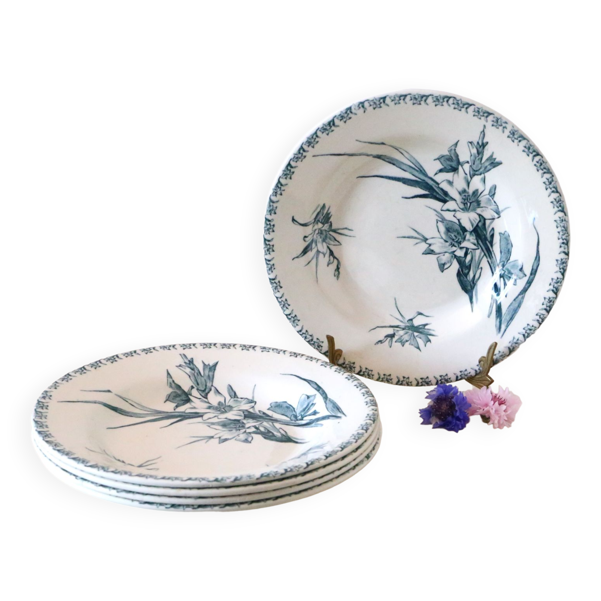 Hollow plates x5, Gien, Glaieul pattern, iron earth