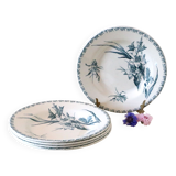 Hollow plates x5, Gien, Glaieul pattern, iron earth