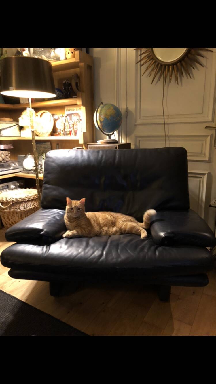 Pair of designer buffalo leather armchairs