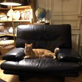 Paire de fauteuils design cuir buffle