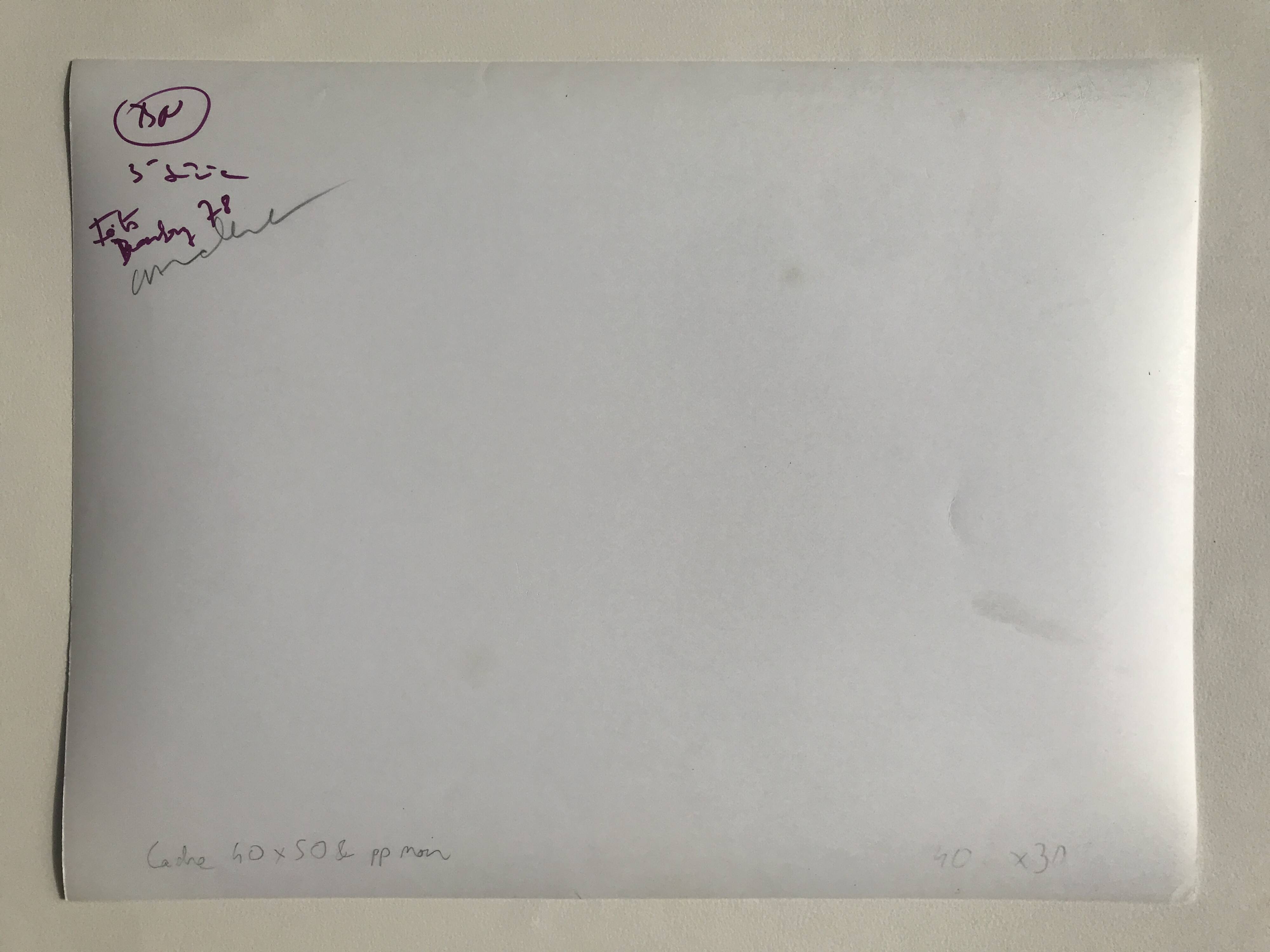 Rosine nusimovici, rooftops of paris from beaubourg, 1978. silver print