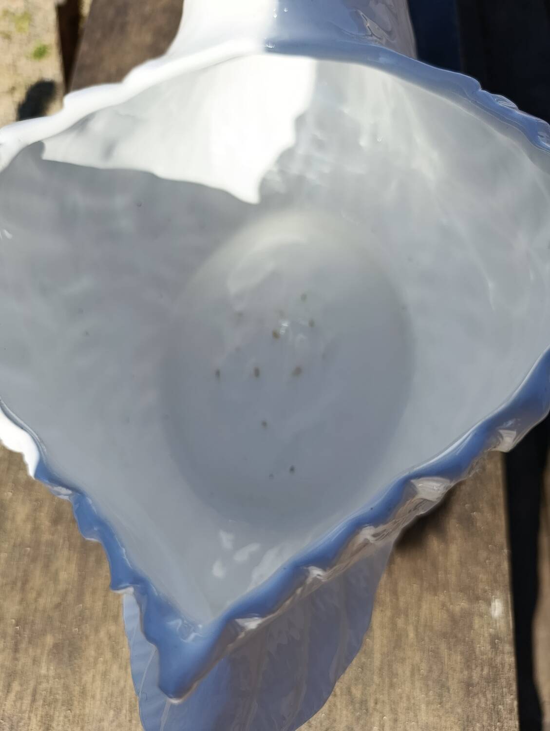 vintage white ceramic swan cache-pot / animal-shaped empty pocket