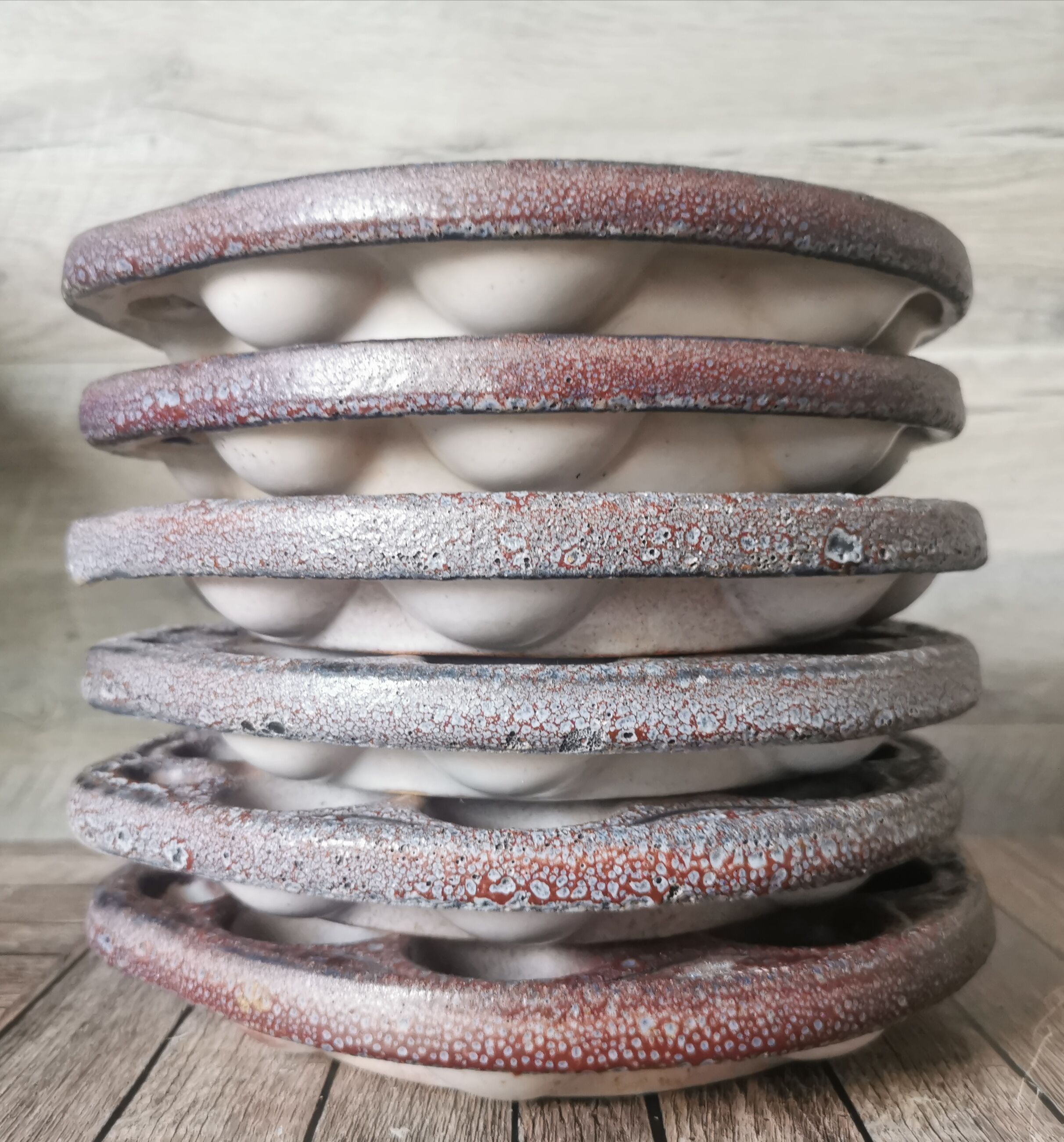 6 glazed ceramic snail plates