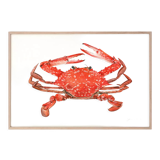 "Stella", the bowl, art print 21/29.7 cm