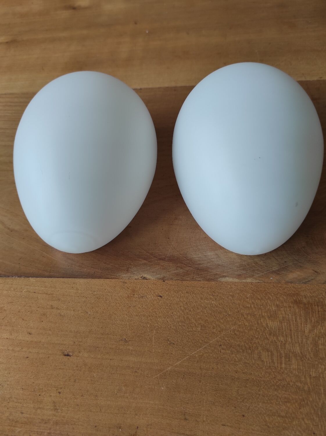Lot de 2 demi-globes en opaline formeoeuf