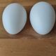 Set of 2 opaline egg-shaped half-globes