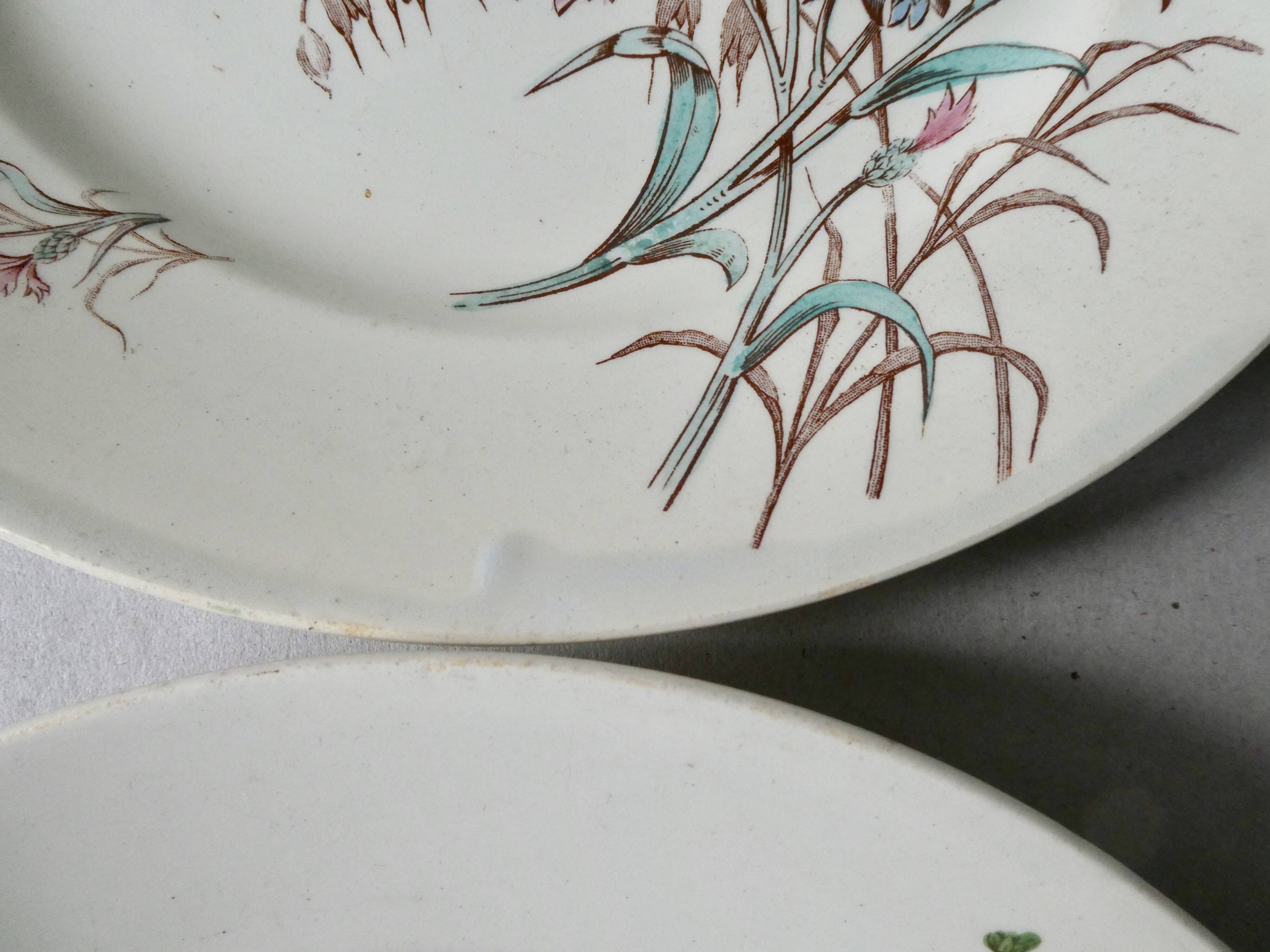 Set de 6 assiettes plates Luneville, décor bleuet, 1900
