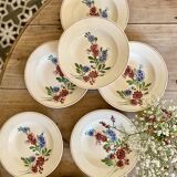 Set of 7 vintage soup plates, Aigueperse de Sarreguemines