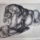 Illustrated plate, Studies of a lion and a hippopotamus, signed A. Margat, 1930