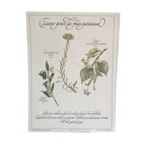 Vintage botanical board