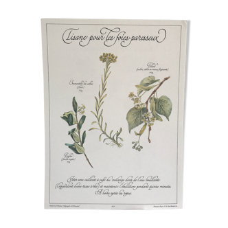 Vintage botanical board