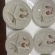 12 vintage Hollandia sarreguemine plates