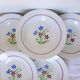 6 deep plates from Salins model Lily 2106202