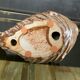 Vintage ceramic fish night light from the 70s.