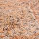 Peach Vintage Moroccan Wool Rug 188 x 317 cm , Berber Rug Handmade, Unique