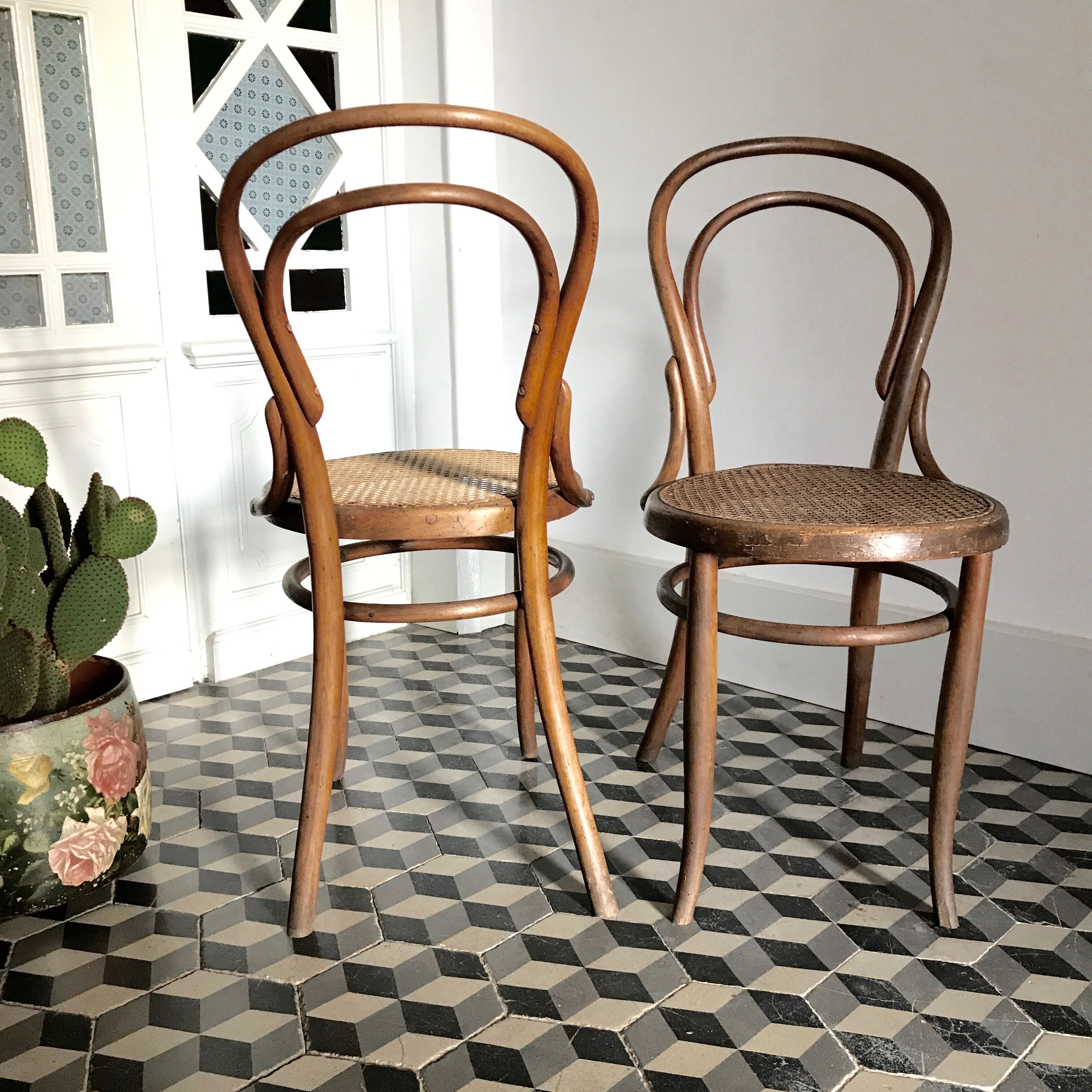 Wooden bistro chairs and canning