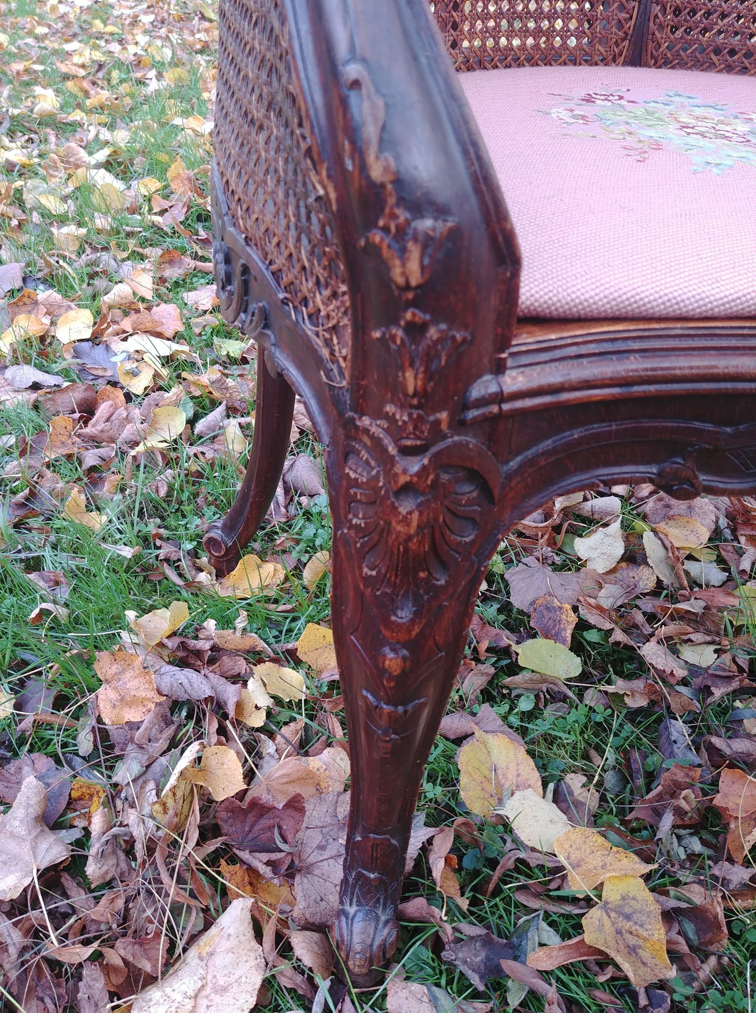 Cane chair