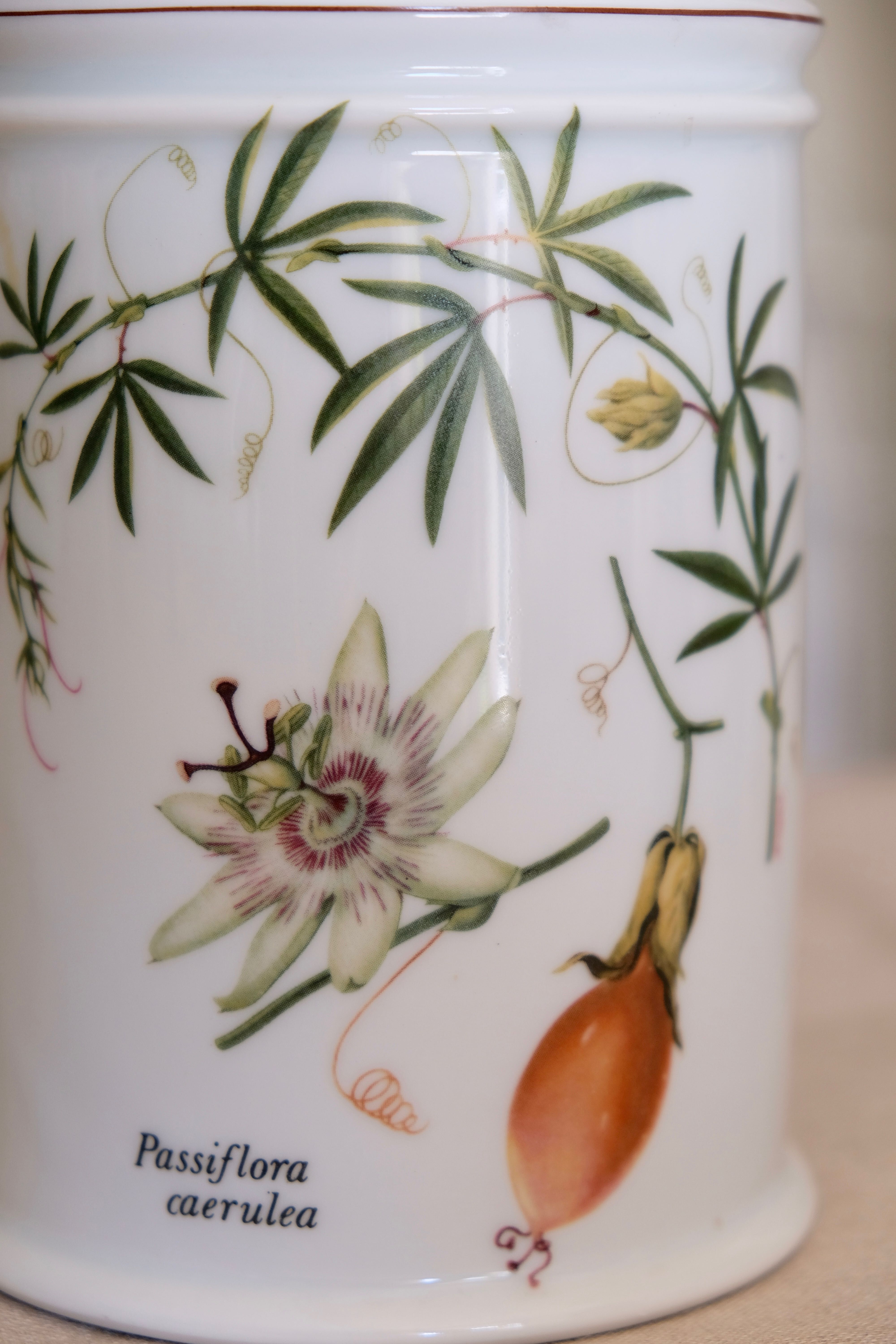 Pharmacy jar "Passiflora" porcelain Lourioux, creations Ph. Dehoulières France