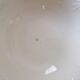 Salad bowl in Belgian earthenware Boch and brothers