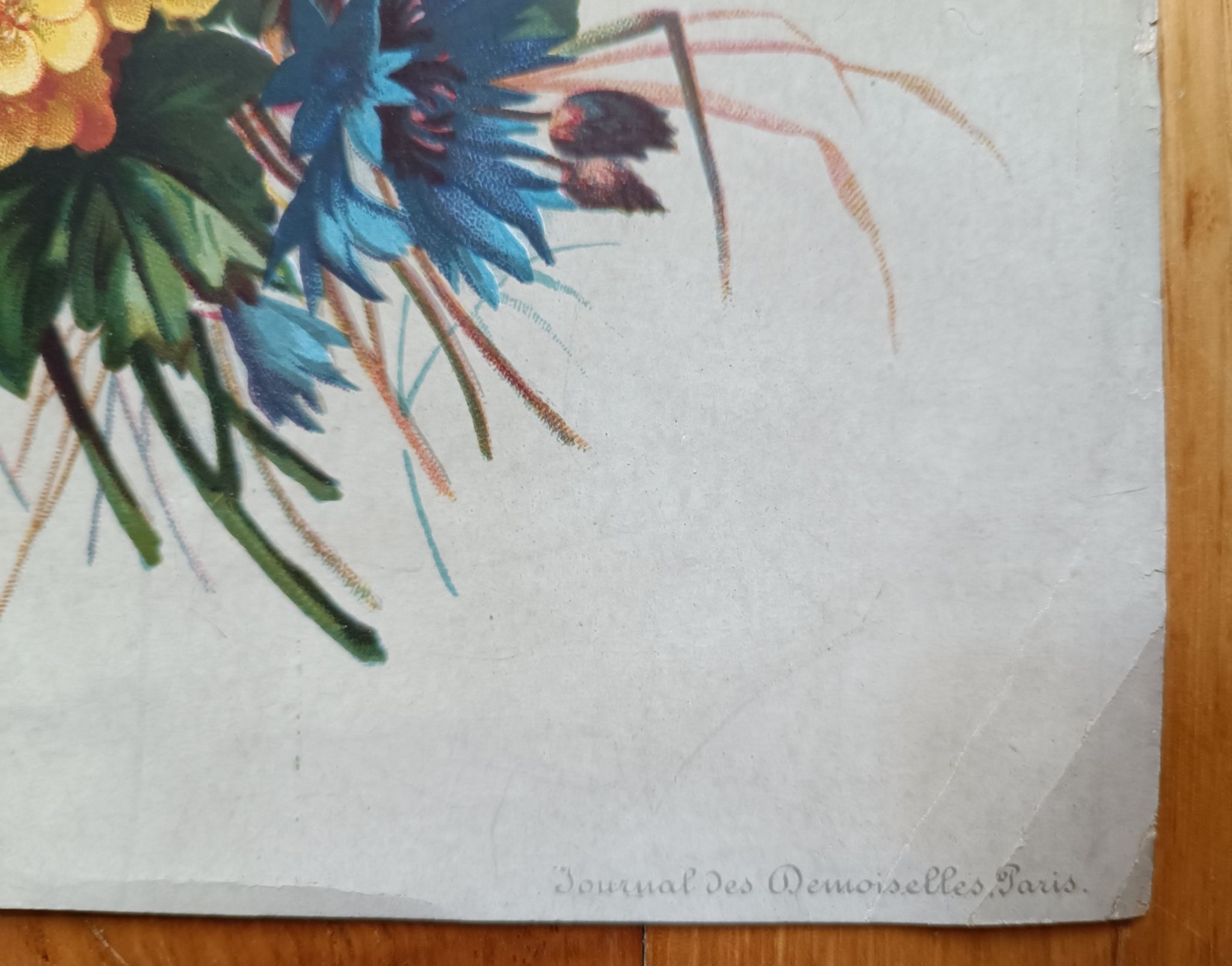 Lithographie bouquet de fleurs des champs tricolore
