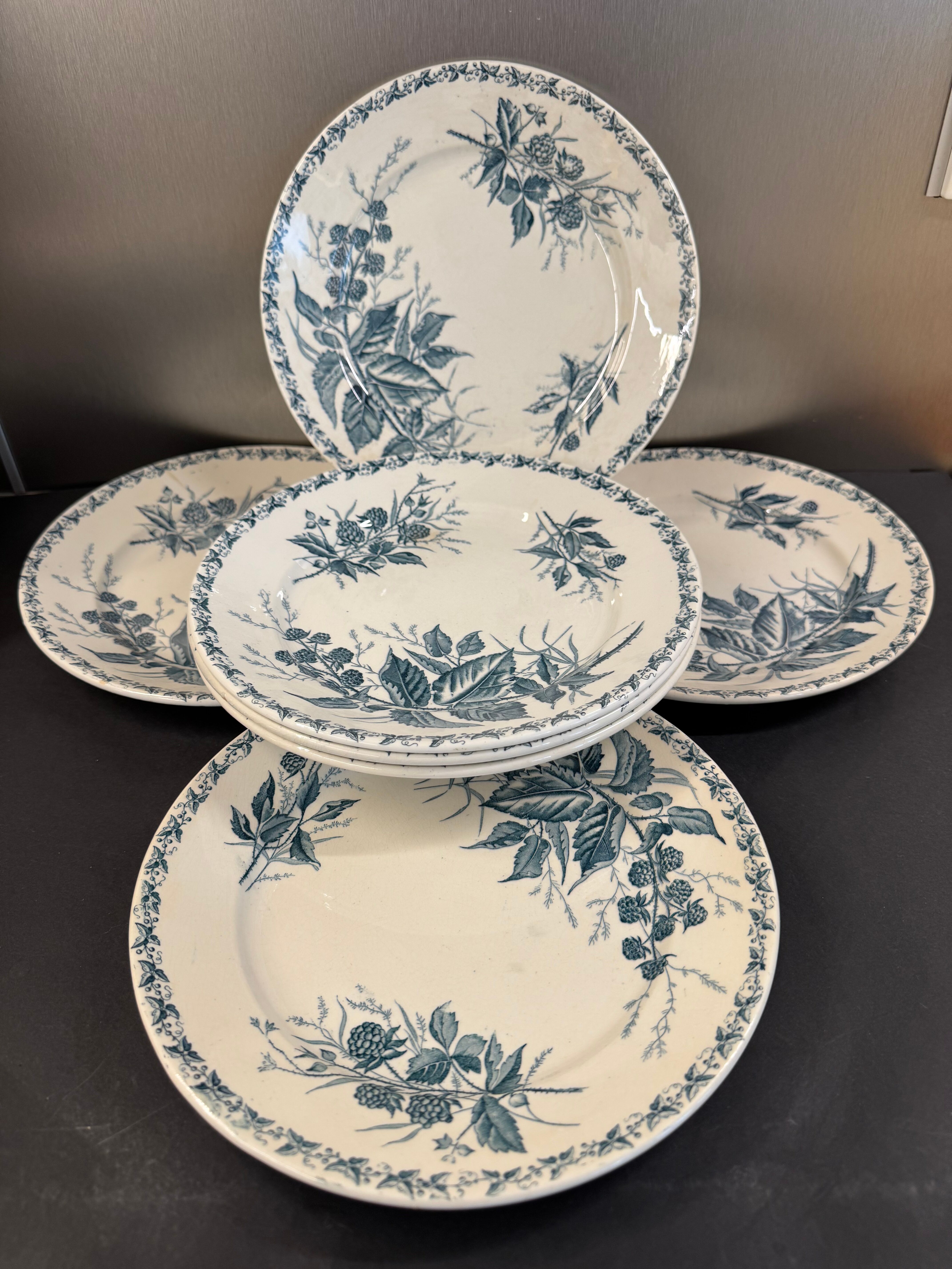 7 deep plates in ironstone "Mûre" Badonviller