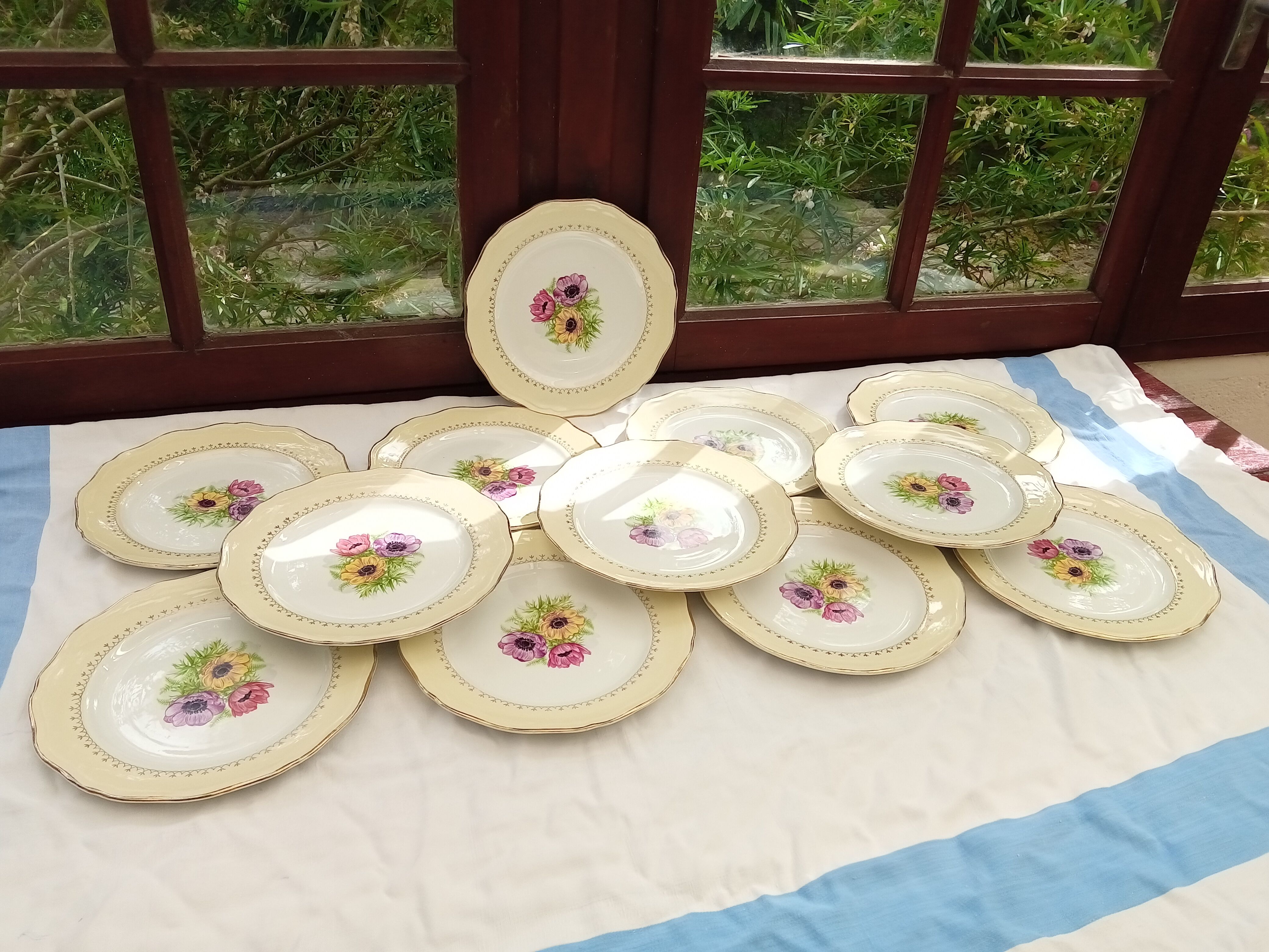 12 old flat plates Coopelia / The Almond