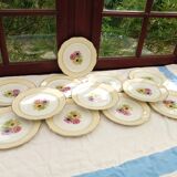 12 old flat plates Coopelia / The Almond