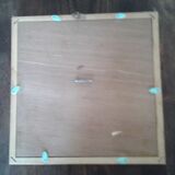 Naturalized butterfly frame