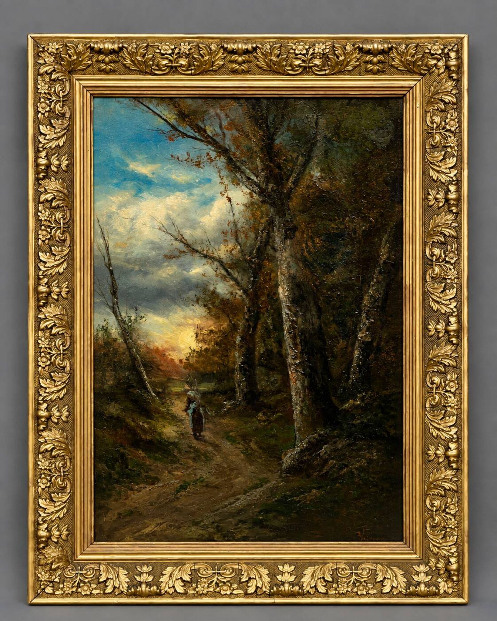 Ancient forest landscape in a beautiful setting.