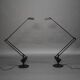 Lampes de table Flamant rose par Fridolin Naef pour Luxo, années 1980, ensemble de 2