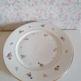6 flowery flat plates, porcelain old romantic limoges