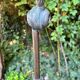 Lampe articulee francaise 1930