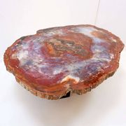 Table basse en bois pétrifié rouge d'Arizona : 114x88cm