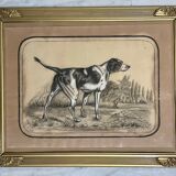 French Charcoal and white chalk drawing "English Pointer Dog Portrait",  1890s