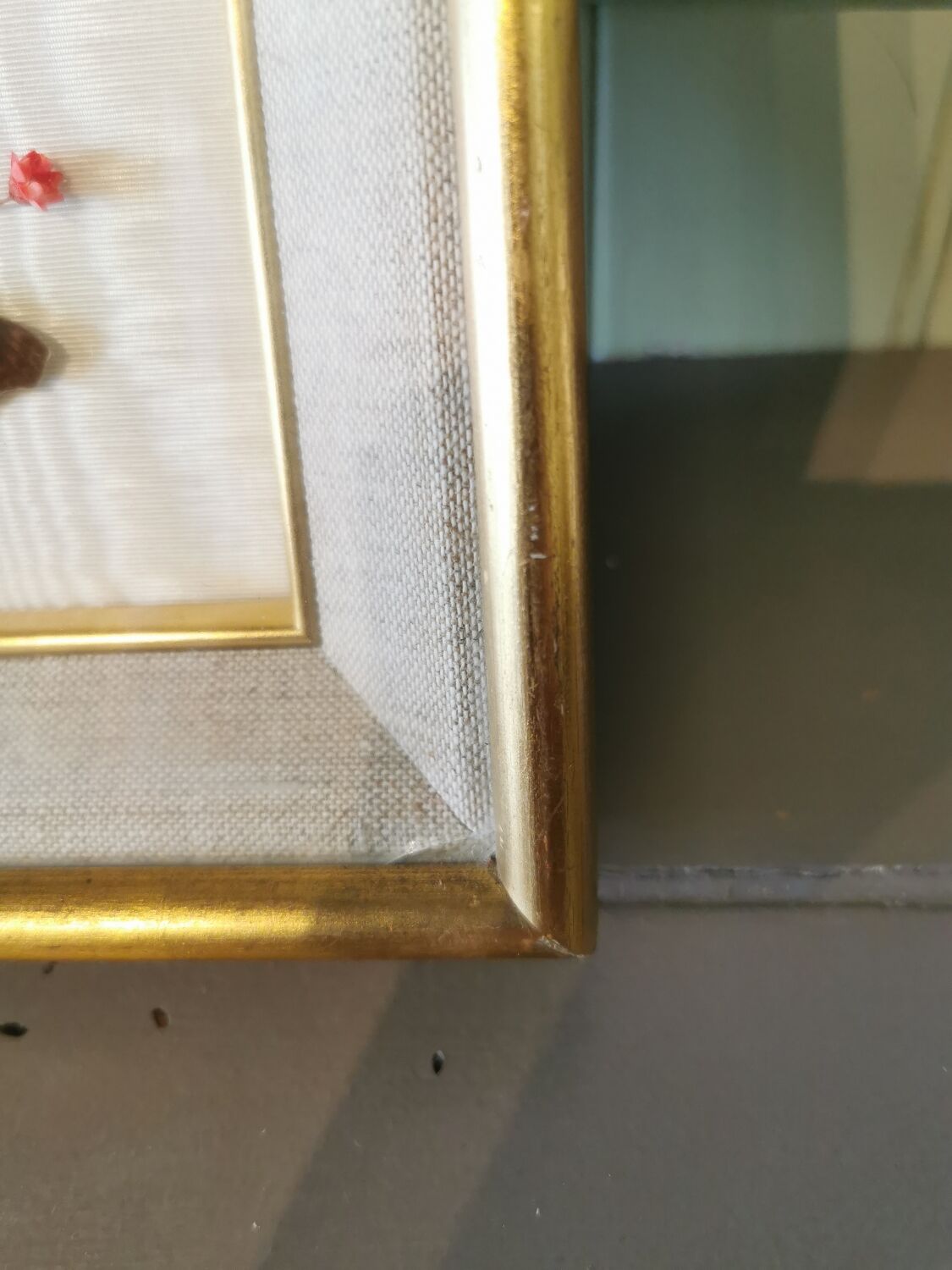 Vintage butterfly frame