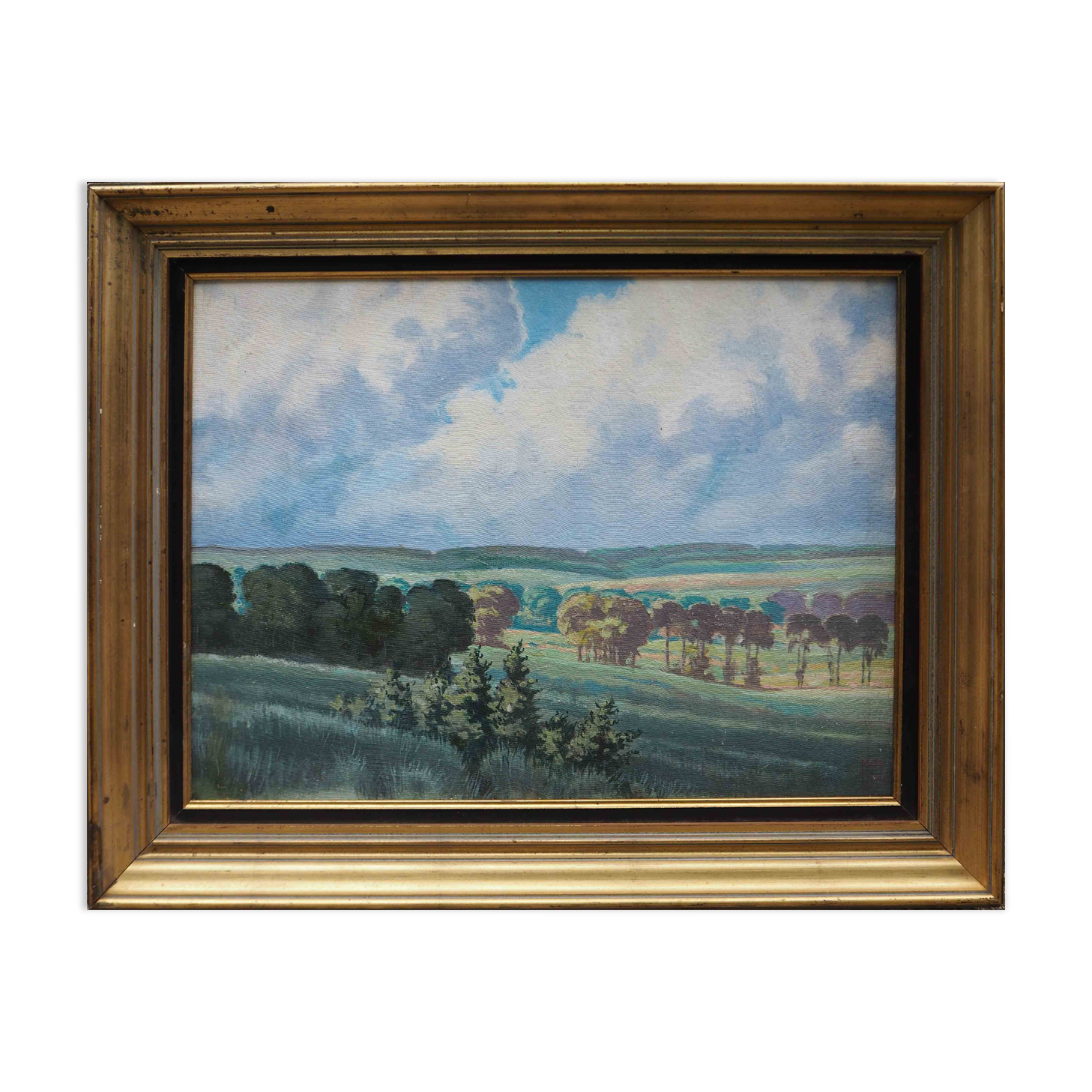 Tableau HSP Paysage ensoleillé Champs et forêts signé 1956 + cadre