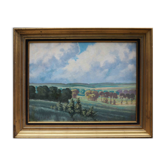 Tableau HSP Paysage ensoleillé Champs et forêts signé 1956 + cadre