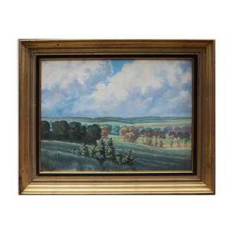 Painting HSP Sunny landscape Fields and forests signed 1956 + frame