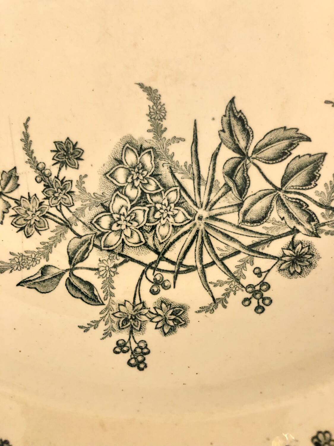 Saint Amandinoise ironstone plate set