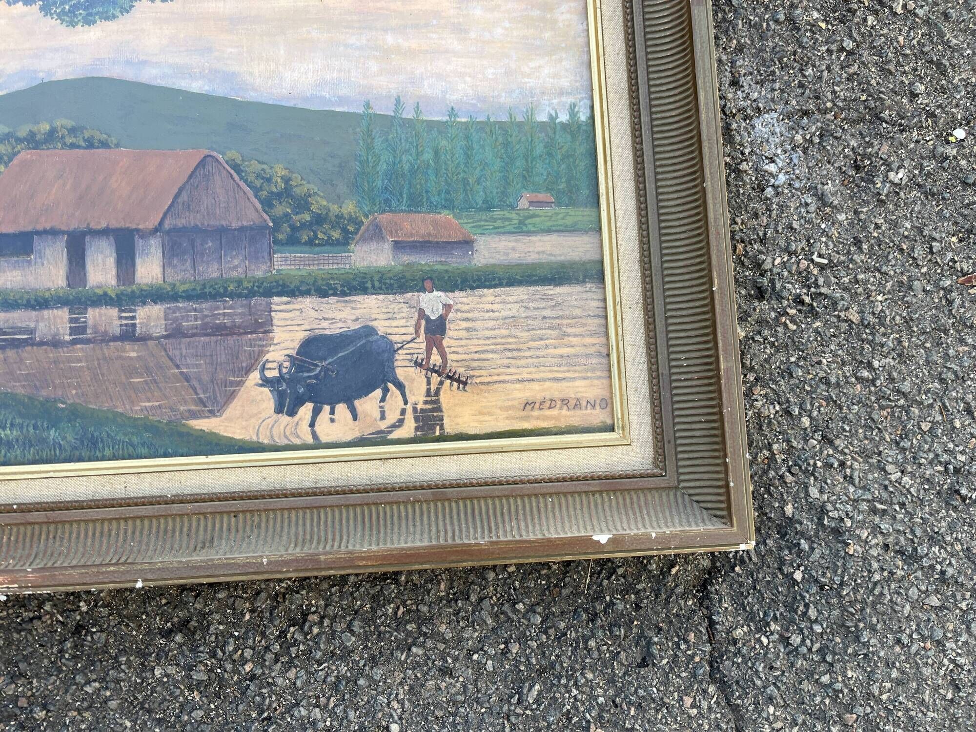 Large naive oil painting signed Medrano: rice field and buffalo, village with roofs of