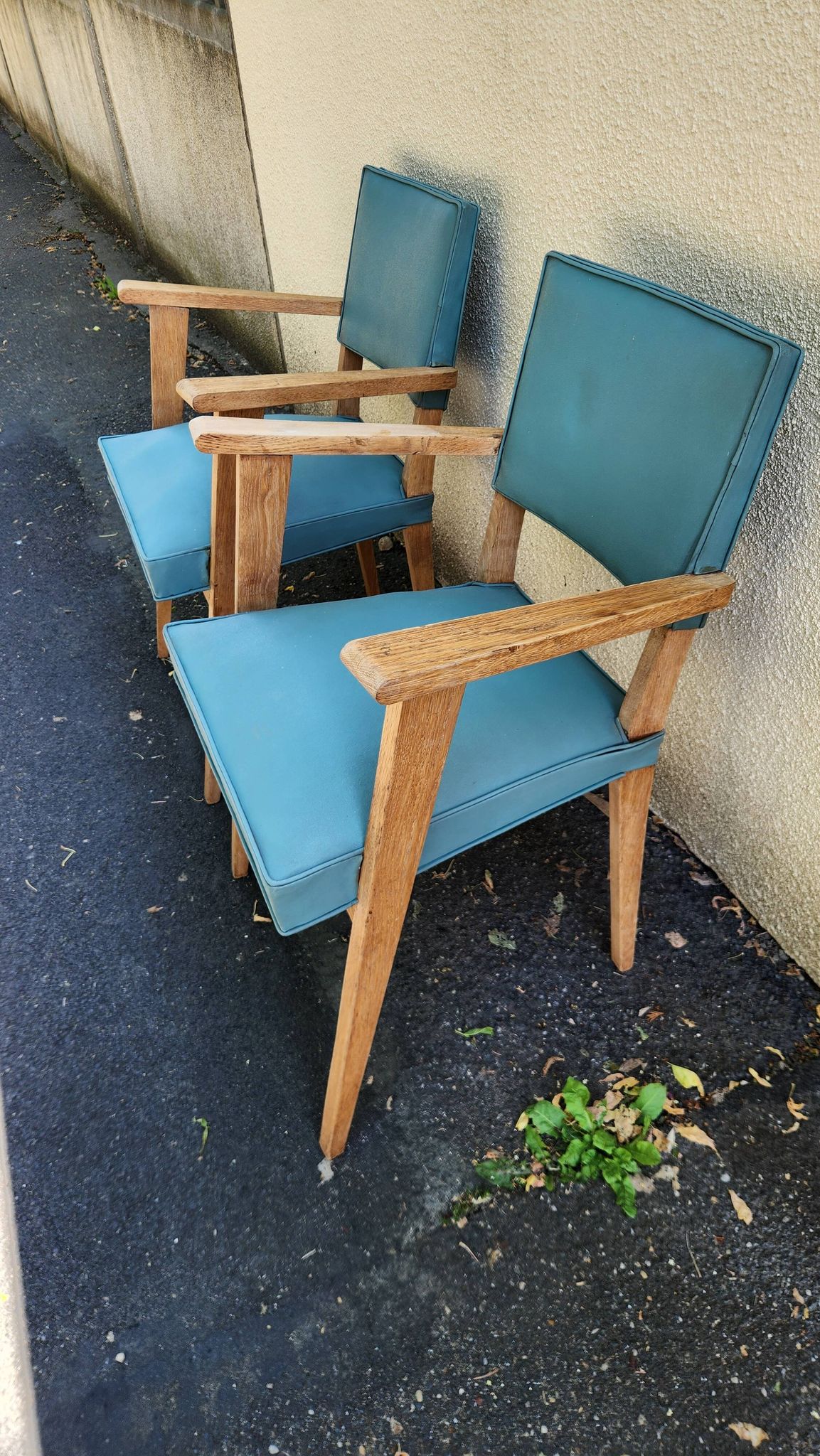 Paire de Fauteuils Bridge Vintage design Années 50  Vert