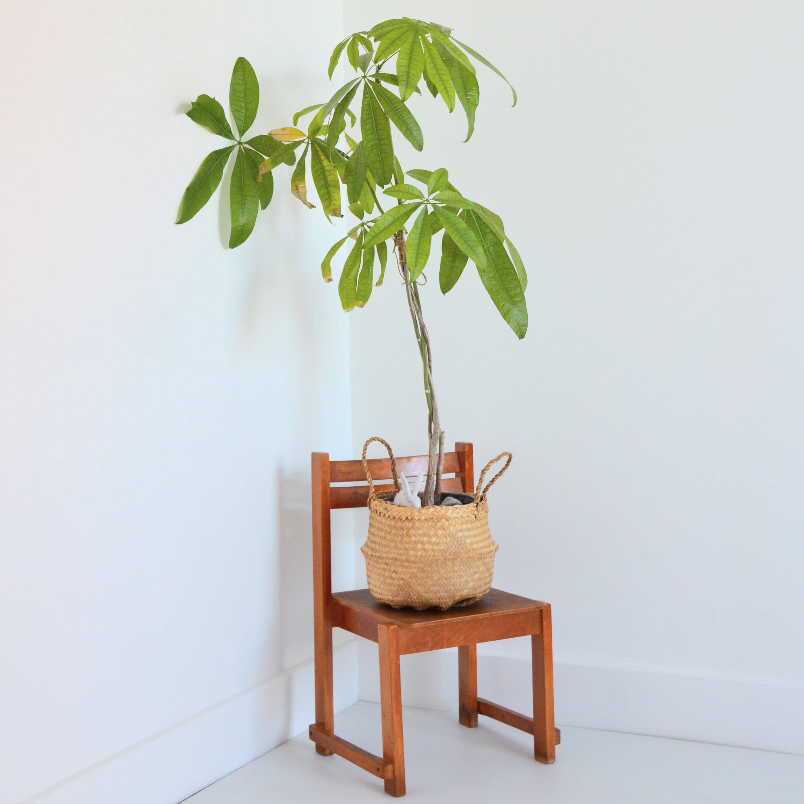 Vintage children's chair 1950s