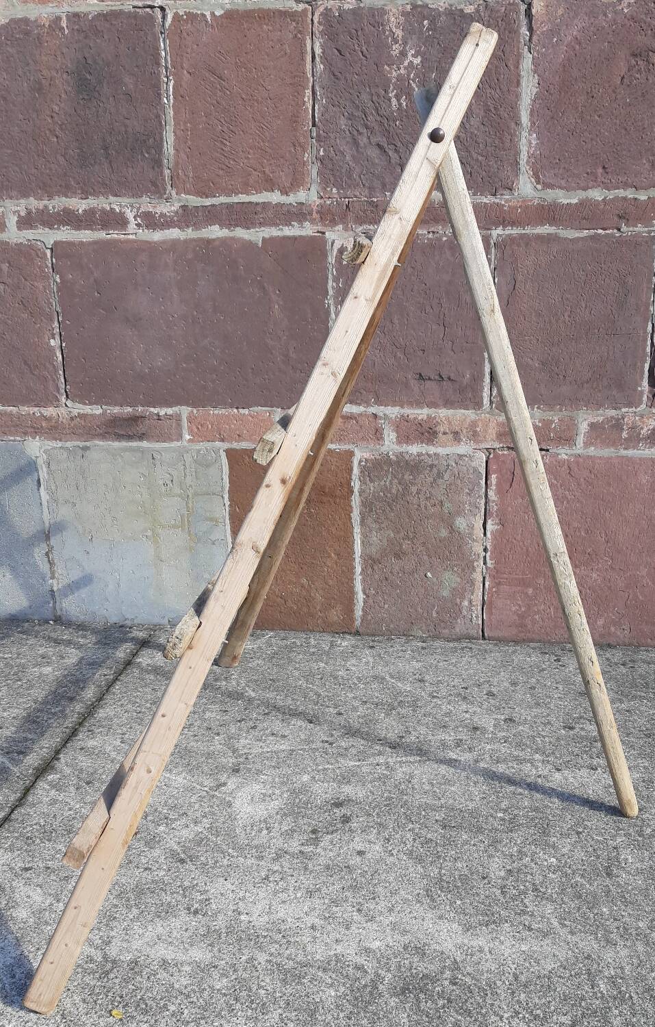 Folding ladder for olive trees. (Spain, 1940s/50s)
